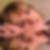 Profilbild von Raphaela Lorenz