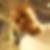 Profilbild von Jihad Moustafa