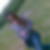 Profilbild von Annegret Wiese
