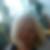 Profilbild von Sandra Lekic