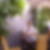 Profilbild von Frank Rudolph