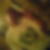 Profilbild von Rafael Fraas