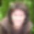 Profilbild von Ulrike Greinke