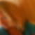 Profilbild von Jeanette Felbier