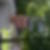 Profilbild von Thomas Kastl