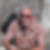 Profilbild von Adolf Schneider