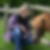 Profilbild von Silke Sander