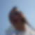 Profilbild von Patrick Sutter