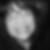 Profilbild von Jennifer Feth