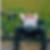 Profilbild von Thomas Manns