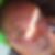 Profilbild von Thomas Steckert 