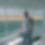 Profilbild von Thomas Petersen
