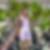 Profilbild von Marion Mutschink