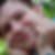 Profilbild von Nancy Petzold