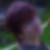 Profilbild von Uschi Weimar