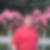 Profilbild von Abdullah Celik