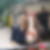 Profilbild von Nadine Wichmann