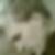 Profilbild von Kim Plambeck
