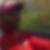 Profilbild von David Arulnathan