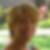 Profilbild von Natascha Pins