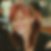 Profilbild von Heike Preuß