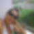 Profilbild von Stefanie Ott