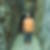Profilbild von Reinhold Kaese