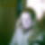 Profilbild von Carolin Florin