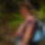 Profilbild von Anette Herse