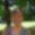 Profilbild von Silke Nitschmann