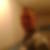 Profilbild von Andre Rudolph