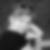 Profilbild von Sabine Braun
