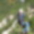 Profilbild von Björn Hochwald
