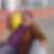 Profilbild von Bernd Fischer