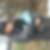 Profilbild von Diana Morche