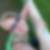 Profilbild von Juliette Noack