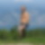 Profilbild von Reiner Roitsch