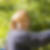 Profilbild von Nicole Werner