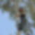 Profilbild von David Liehr
