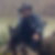 Profilbild von Bernd Wiessner