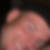 Profilbild von Andre May