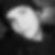 Profilbild von Robin J.-Schulze