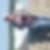 Profilbild von Gerd Weser