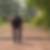 Profilbild von Uwe Brall