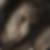 Profilbild von Steven Machatik