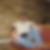 Profilbild von Sascha -Durell Strecker