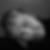 Profilbild von Jana Wellenbrock