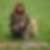 Profilbild von Sabine Lassow