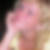 Profilbild von Nicole Reichel