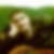 Profilbild von Enrico Toth
